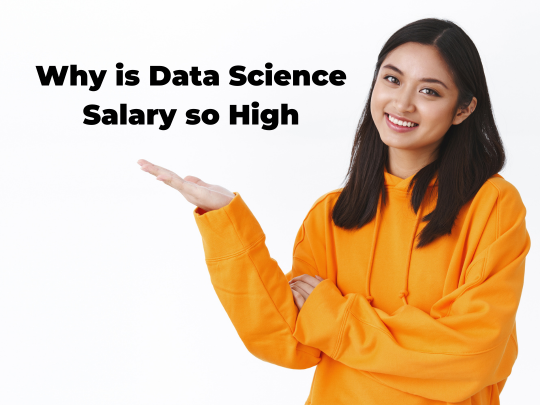You are currently viewing Why is Data Science Salary so High